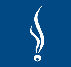 Logo der Brandeis Digital GmbH